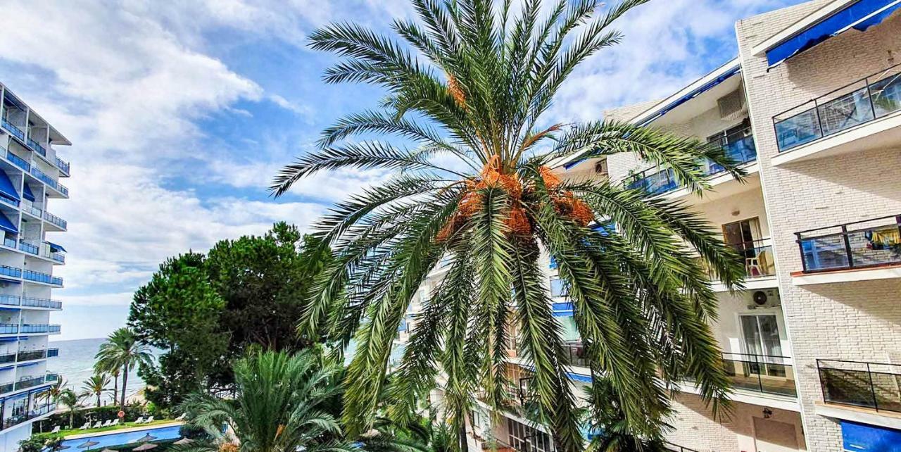 Skol Apartments Marbella Eksteriør billede